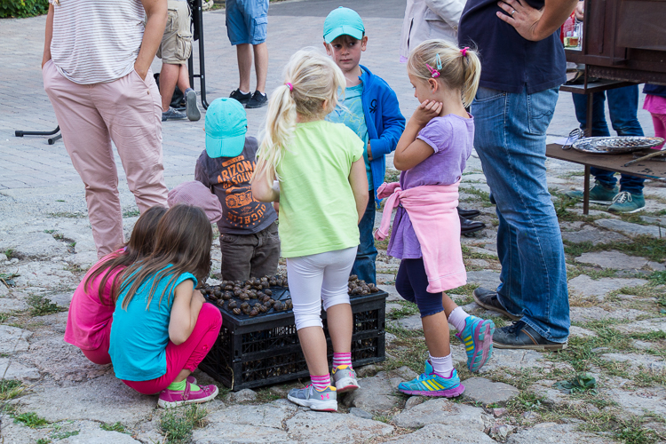 wienschneckenfest-33