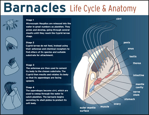 Screen Shot 2018-05-26 at 12.36.02 PM