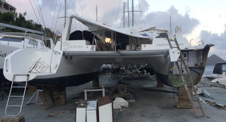 Photo of Moon Struck