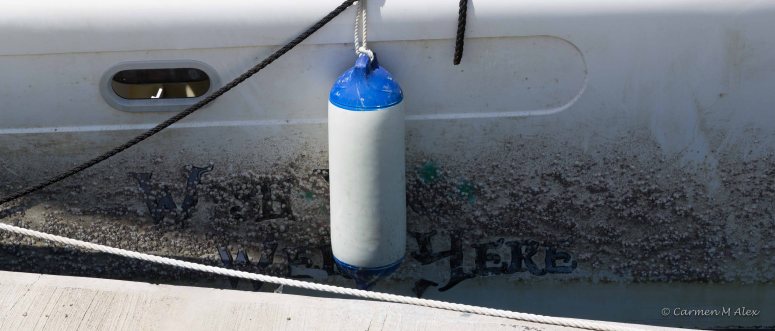 Side of boat hull with barnacles covering the boat name.