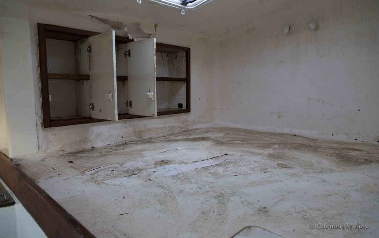 Image of port side sleeping quarters, still covered in dirt and mildew.