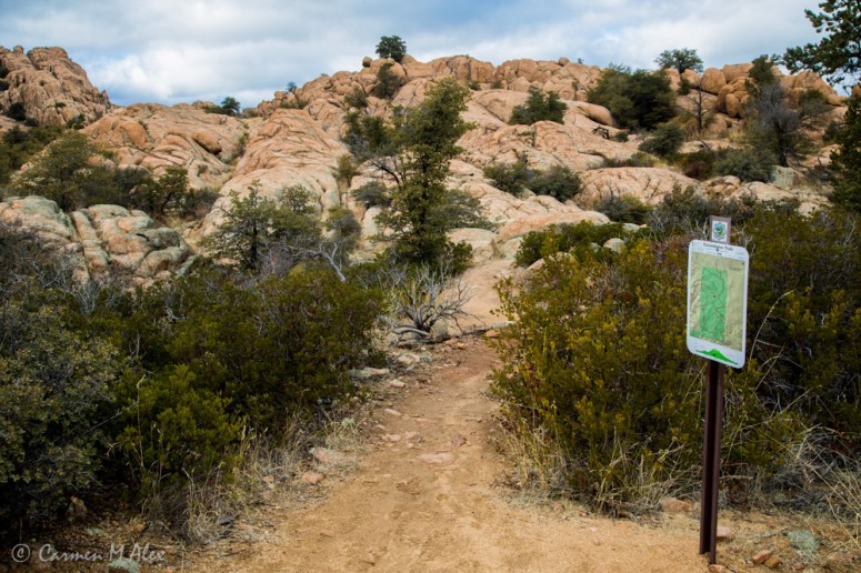 constellationhike-2019-carmenalex-462