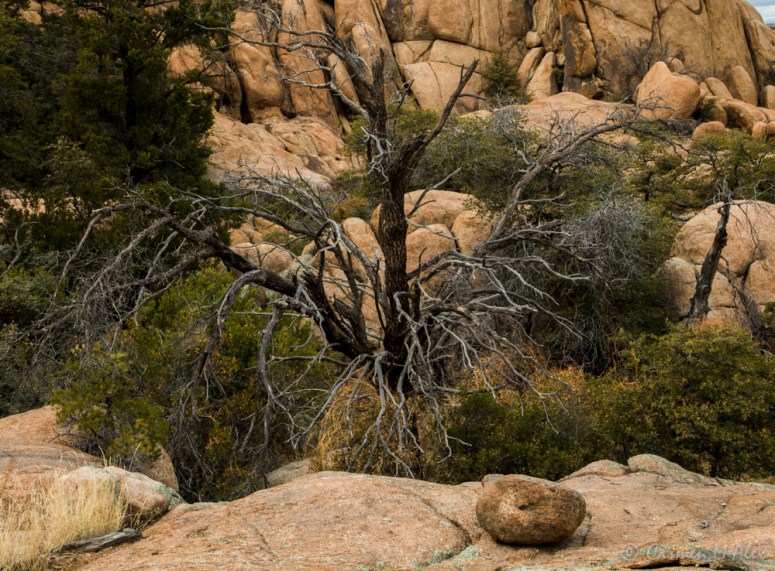 constellationhike-2019-carmenalex-483