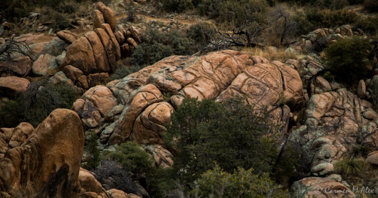 constellationhike-2019-carmenalex-516