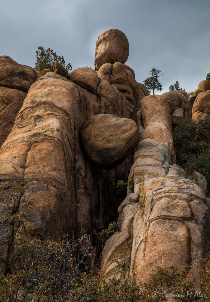 constellationhike-2019-carmenalex-534