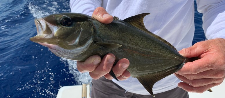 Bahamas-Abaco-iPhone-CarmenMAlex-2019-279